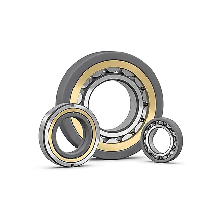 Insulated Bearings